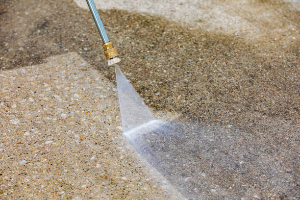 Best Driveway Pressure Washing  in Kimball, TN